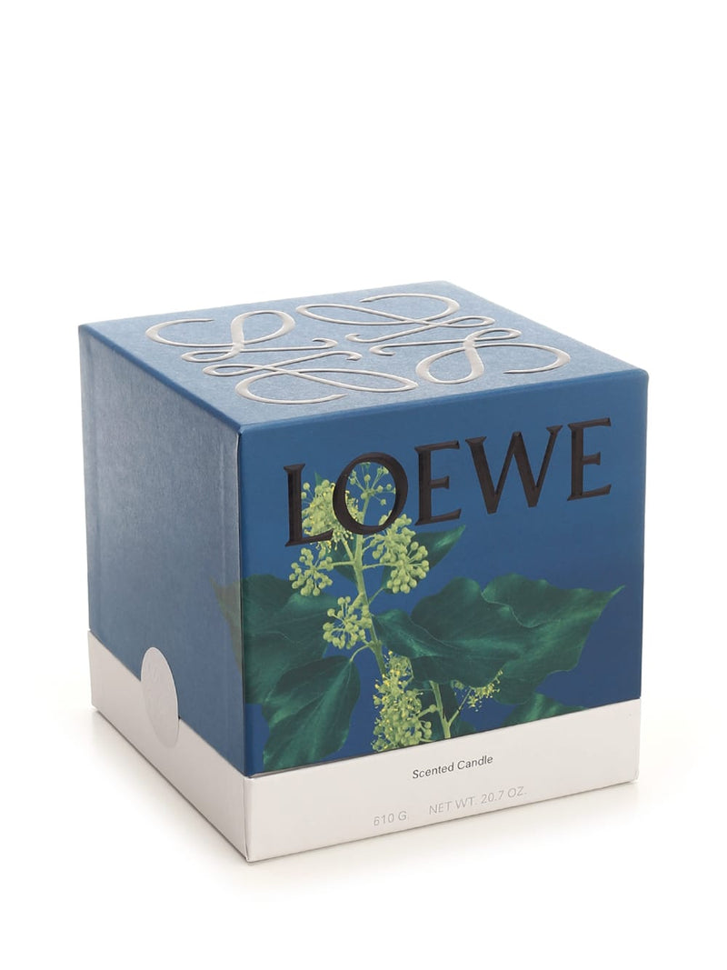 Loewe Pink Ivy Essence Scented S Candle - Women