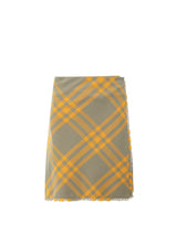 Burberry Skirt - Women