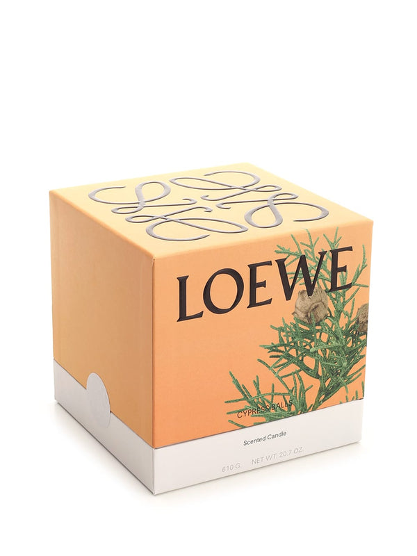 Loewe Candle M Essence Of Cypress Berries - Women