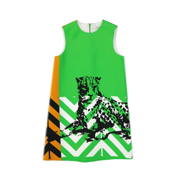 Dior Printed Mini Dress - Women - Piano Luigi