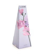 Loewe Lucious Pea Scented Candlestick - Women - Piano Luigi