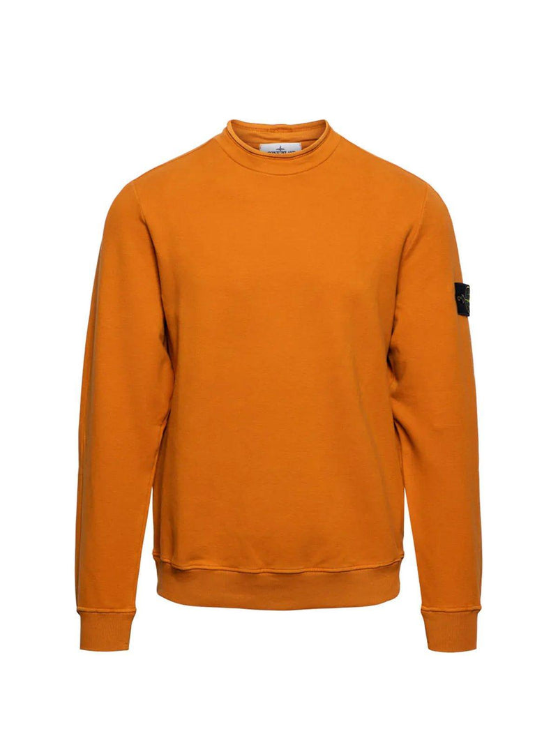 Stone Island Logo Patch Crewneck Sweatshirt Fleece - Men - Piano Luigi